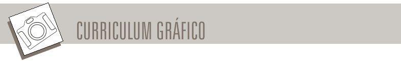 Curriculum gr&aacute;fico